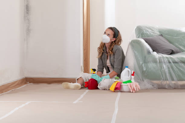 Reliable Commercial Mold Remediation contractor in Gloucester, VA by WQB Mold Removal